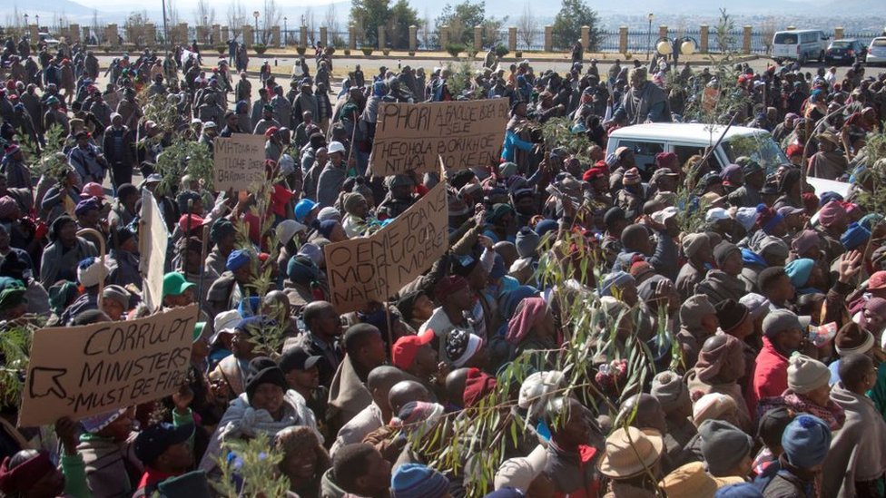 Протесты фермеров, выращивающих мохер, в июне