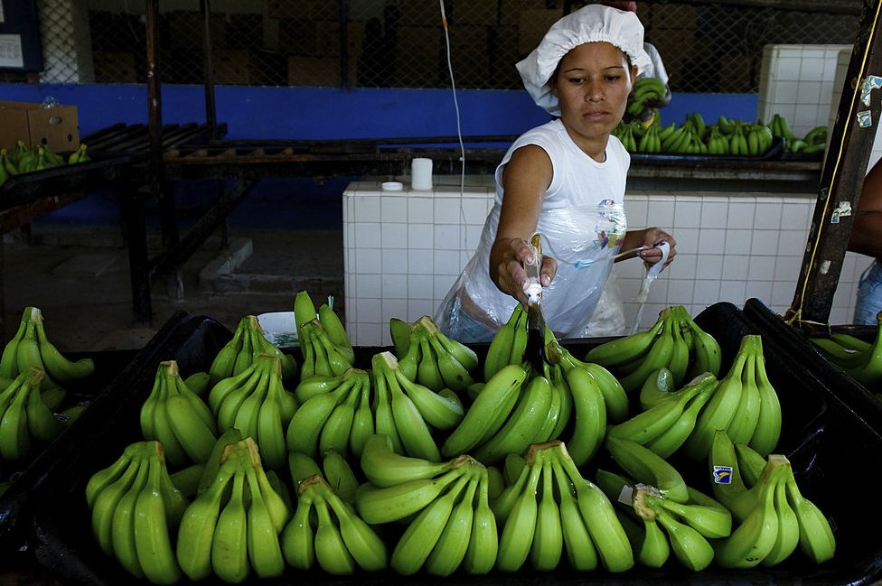 Mercado de banano