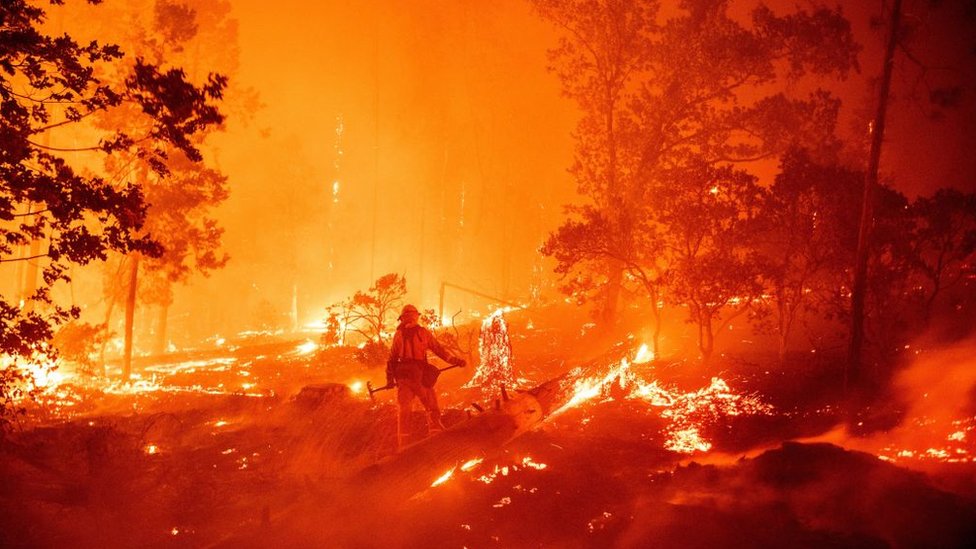 Vatrogasac u sred šume okružen vatrom