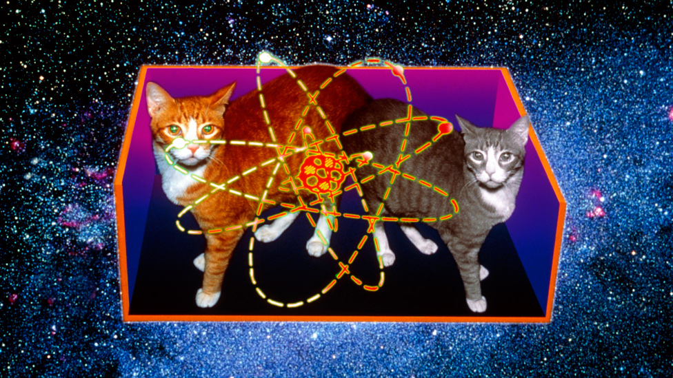 Ilustración de un gato vivo y muerto en referencia a la paradoja de Schrödinger