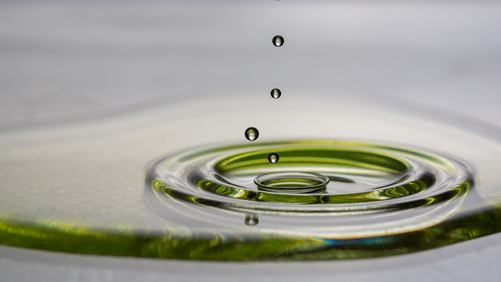 Gotas de aceite de oliva