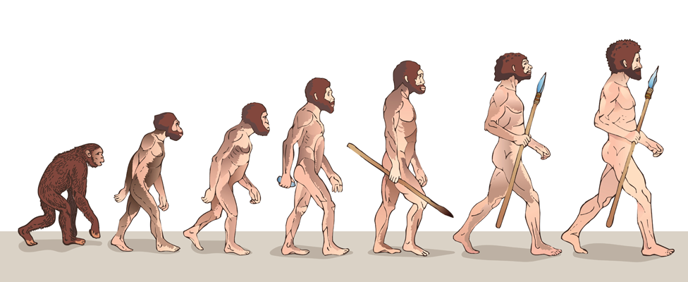 Ilustración de la evolución