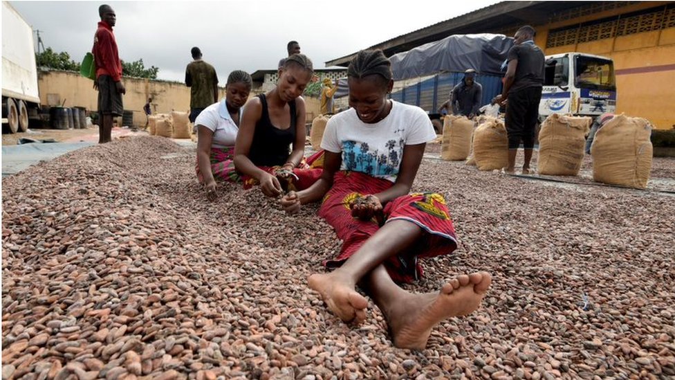 Women sorting cocoa beans at a Ghana facility