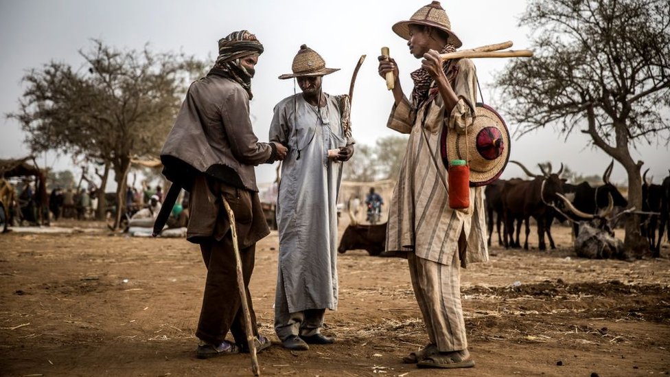 Группа скотоводов-фулани обменивает деньги после операций со скотом на рынке крупного рогатого скота Иллиея, штат Сокото, Нигерия, 21 апреля 2019 г.