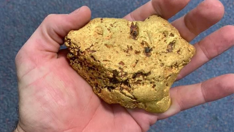 1,4 kiloluk altın keseğinin değerinin 100 bin Avustralya doları (420 bin TL) olduğu tahmin ediliyor