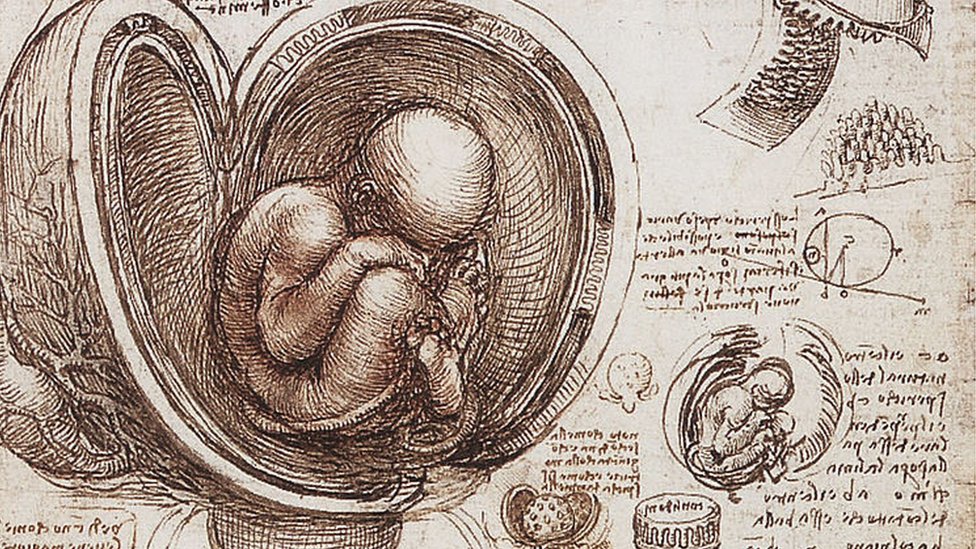 Ilustración de un feto de Leonardo da Vinci.