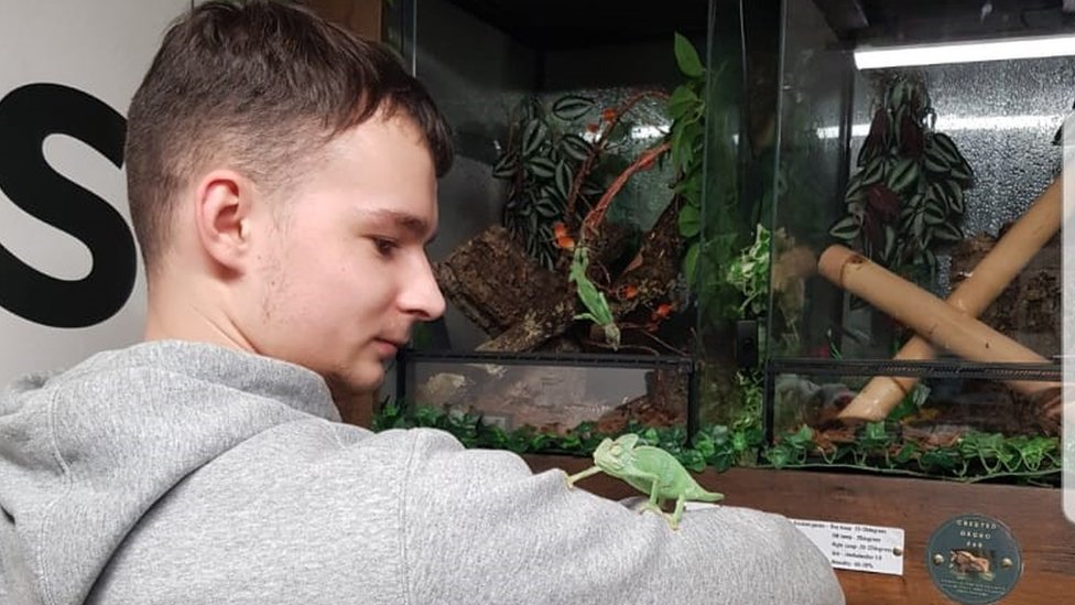 Reptiles die in exotic pet shop flood in Telford