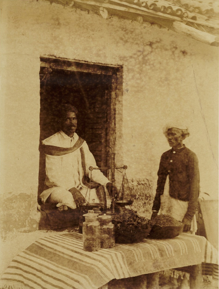Vendedor de cannabis en India a mediados del siglo XIX. Imagen de dominio público.