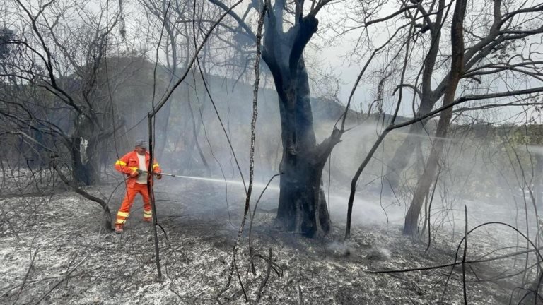 İtalya orman yangınlarıyla nasıl mücadele ediyor?