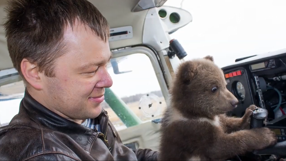 Manser, medved u Rusiji koji živi na aerodromu, 2019.