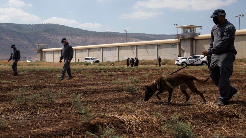 Funcionarios con perros entrenados buscan rastros de los prófugos en las afueras de la cárcel.