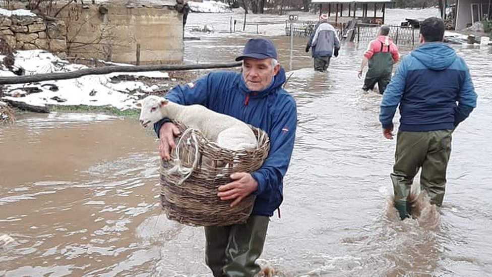 Poplave
