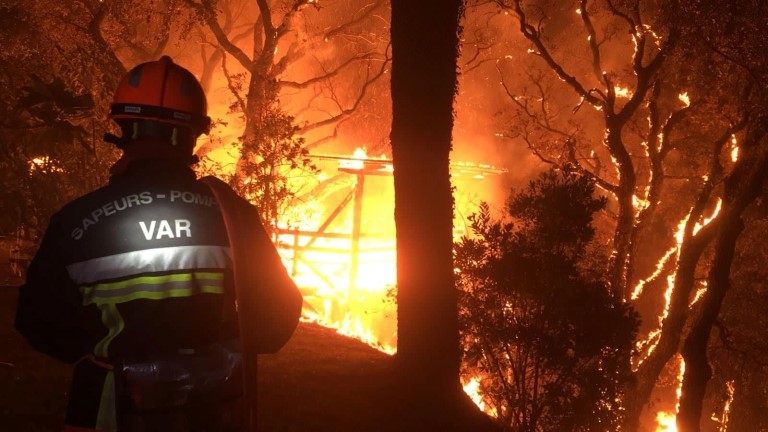 Wildfires: Provence wine producers assess impact of destruction