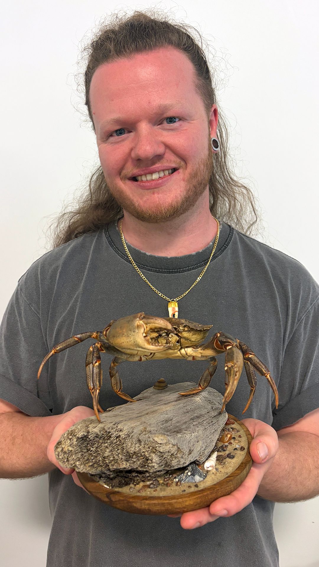 I turned crustacean taxidermy into my job
