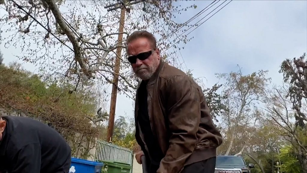 Arnold Schwarzenegger terminates neighbourhood pothole