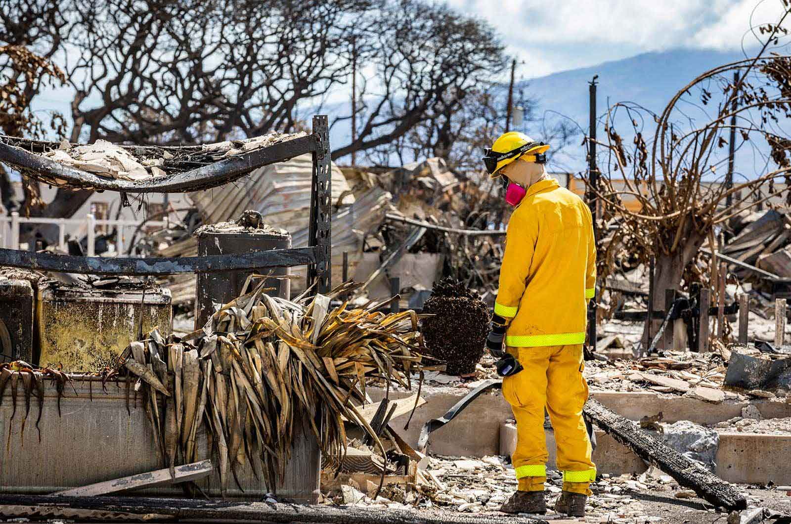 A rescue and recovery member searches areas damaged by Maui wildfires in Lahaina, Hawaii - 15 August, 2023.