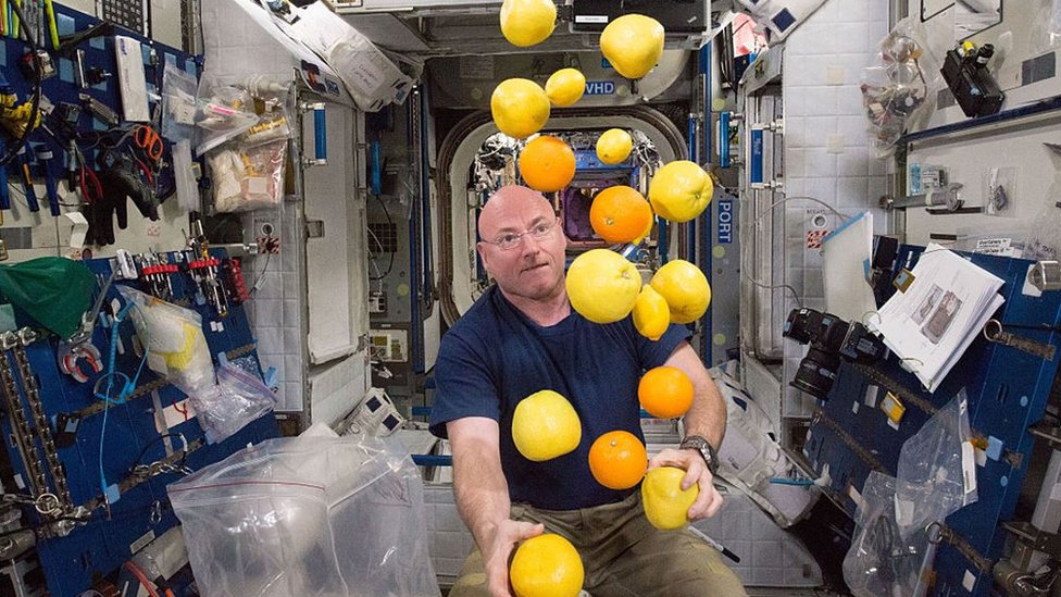 رائد فضاء ناسا سكوت كيلي يجمع إمدادات الفاكهة الطازجة في الفضاء