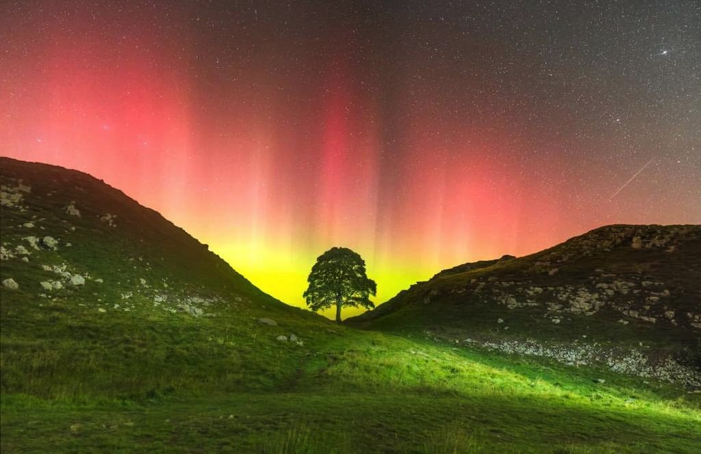 The Sycamore Gap tree illuminated by the Northern Lights growing in the valley between two hills