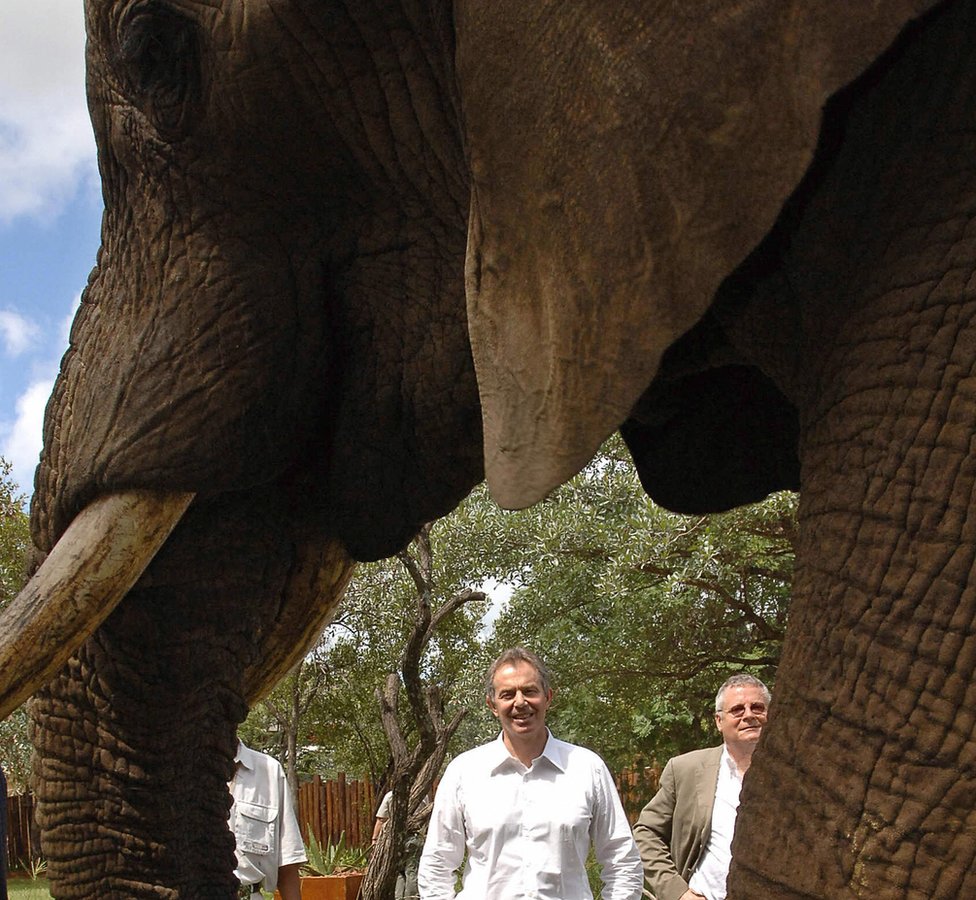 Тони Блэр со слоном