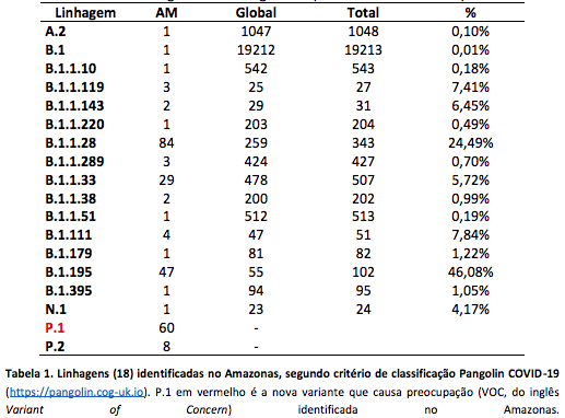 Tabela com variantes encontradas no Amazonas