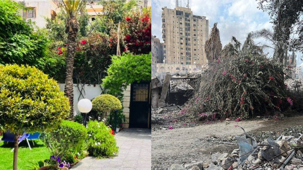 以色列空襲前後加沙花園的照片