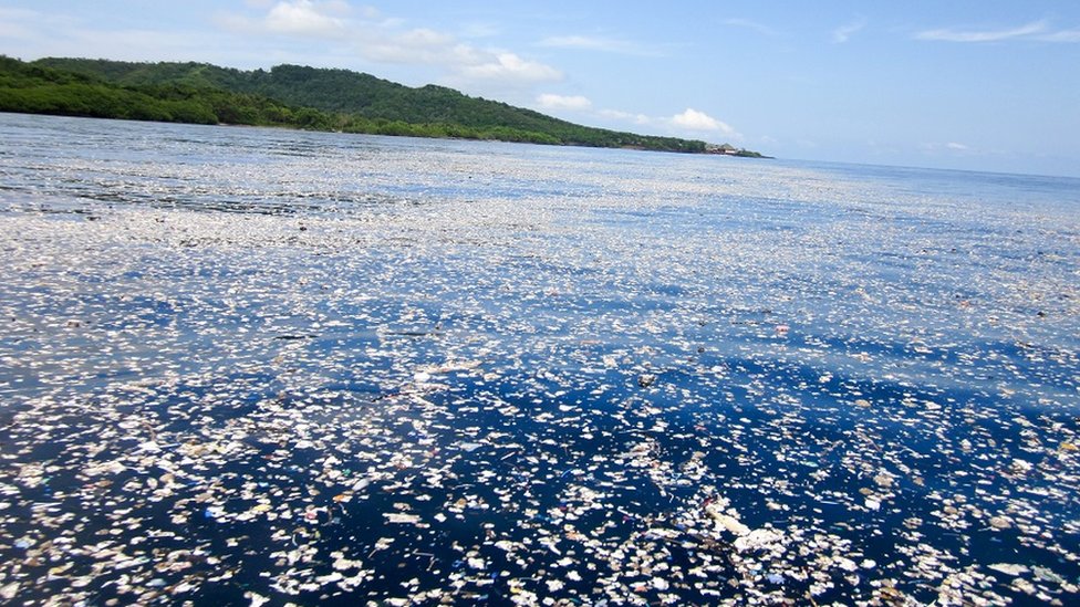 La basura flotante llega hasta varias localidades de la costa norte de Honduras. Foto cortesía de Caroline Power. La basura flotante llega hasta varias localidades de la costa norte de Honduras.