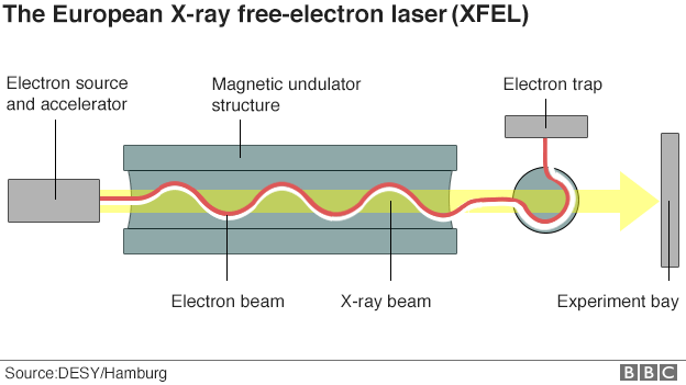 Схема XFEL