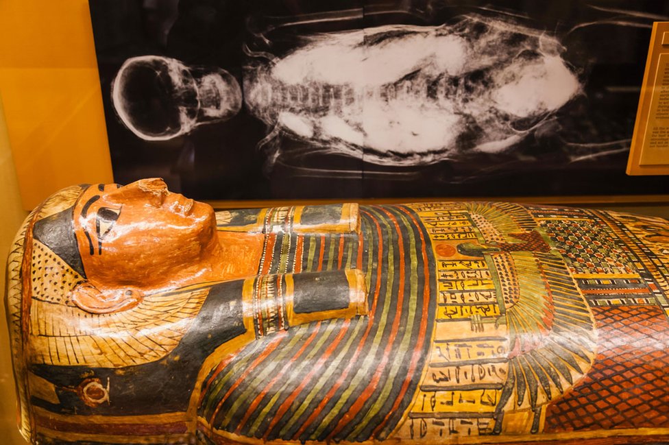 Выставка египетской мумии в Pitt Rivers