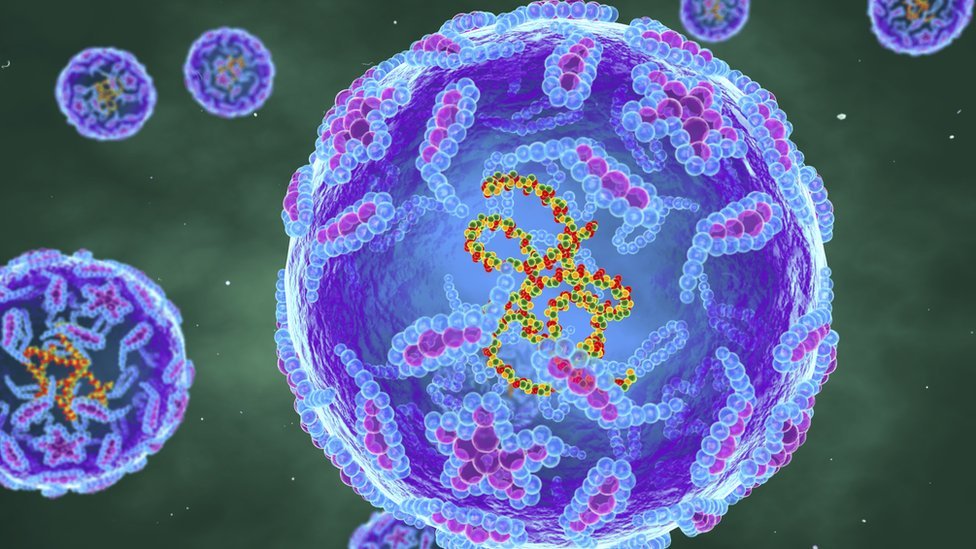 Una imagen del virus de la polio