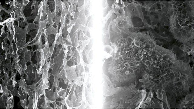 Два микроскопических изображения графеновых электродов