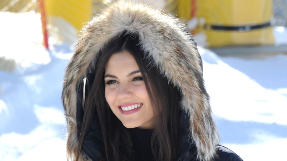 Furry hood
