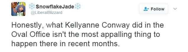 Пользователь Twitter SnowflakeJade пишет: «Честно говоря, то, что Келлианн Конвей сделала в Овальном кабинете, - не самое ужасное, что произошло там за последние месяцы».