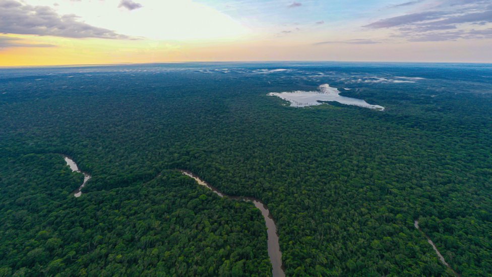 Amazonas.