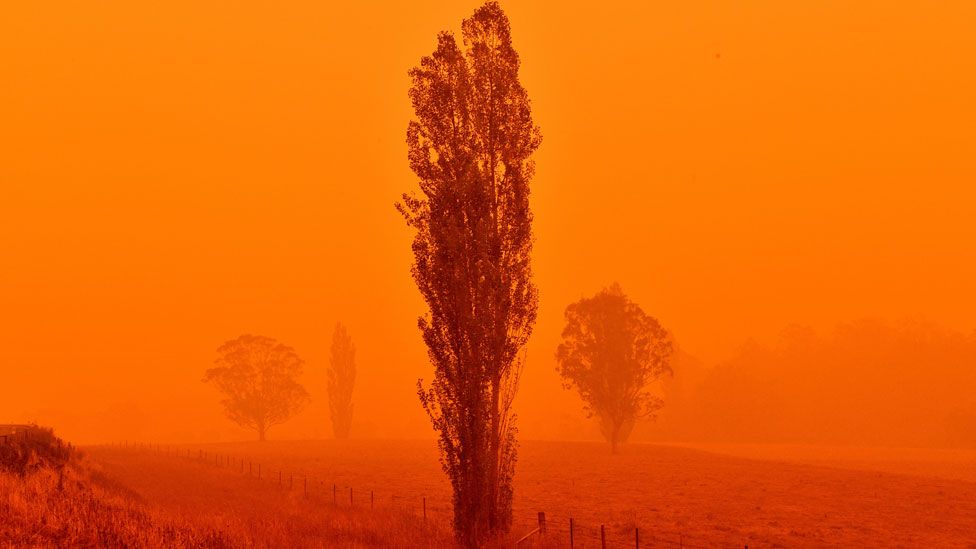 ਆਸਟਰੇਲੀਆ ਦੇ ਜੰਗਲਾਂ ਦੀ ਅੱਗ Australia bushfires