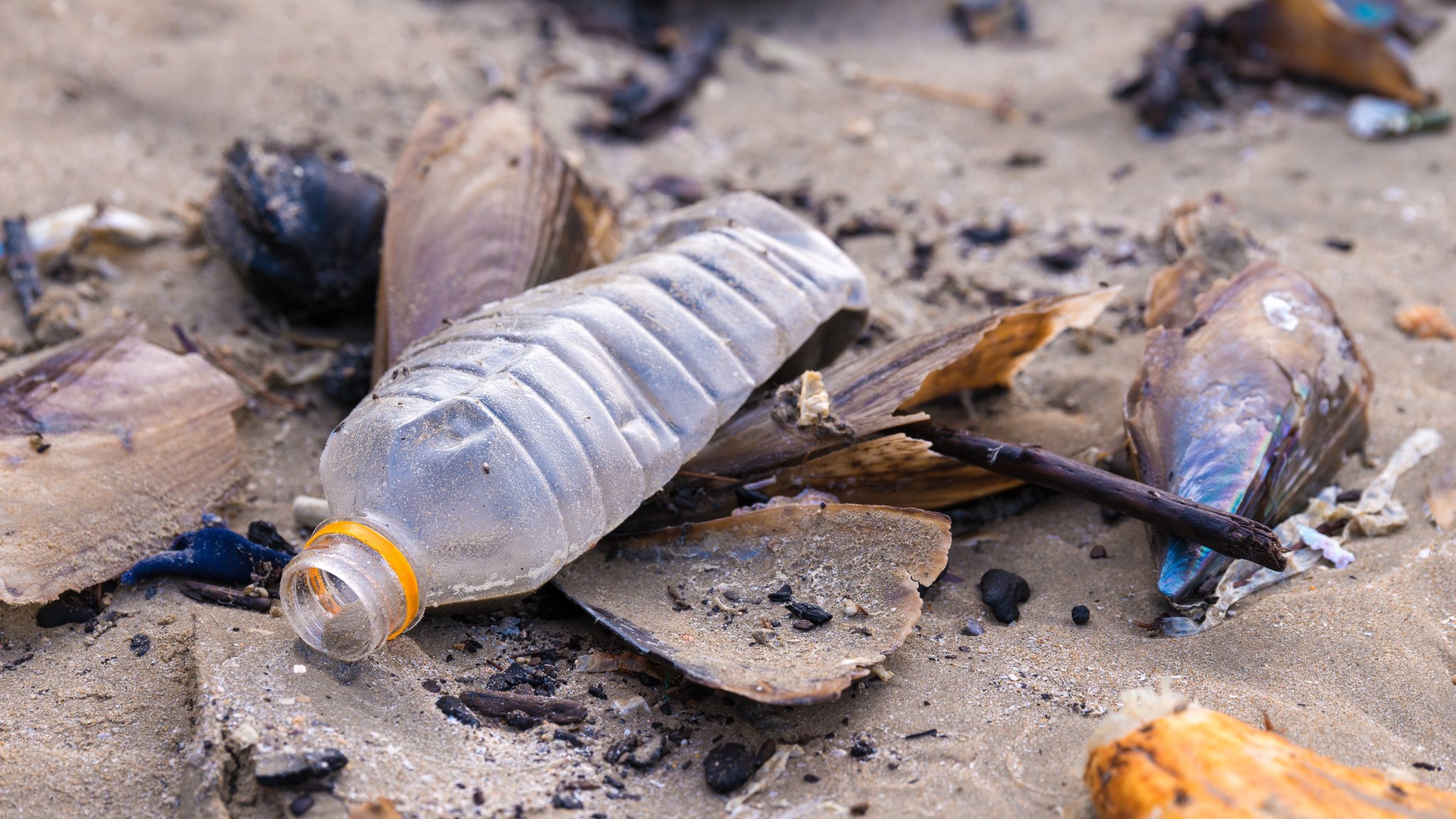 Bank Holiday clean up: What do you think about litter? - CBBC Newsround