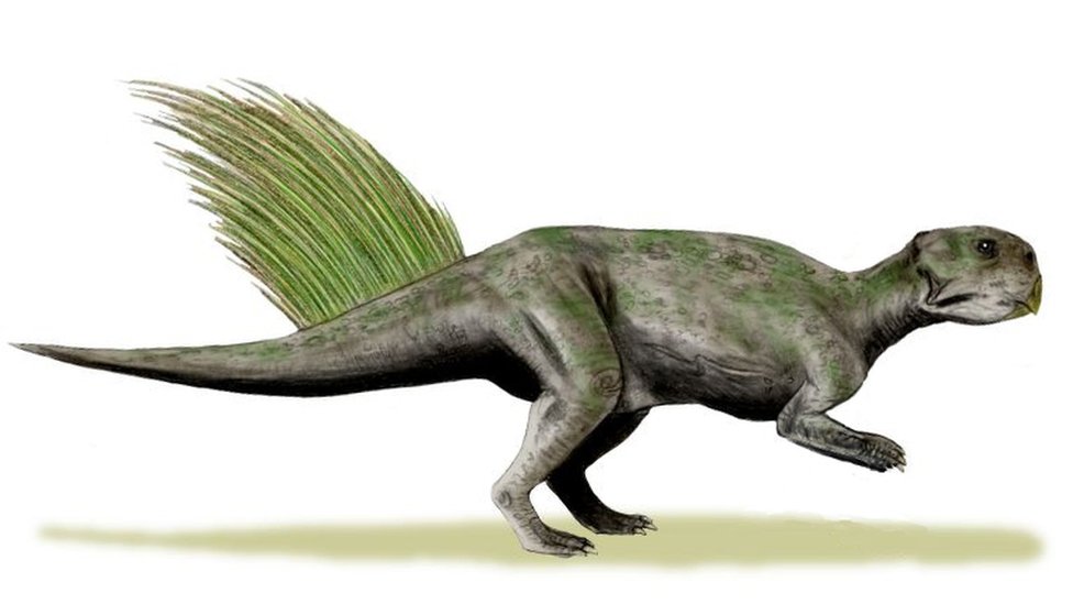 Ilustración de un psittacosaurus