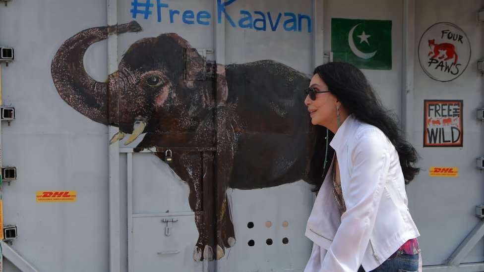 Cher welcomes Kaavan at the airport on Cambodia