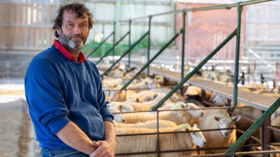Овцевод Джефф Гвиллим на фото со своим стадом на семейной ферме недалеко от Талгарта