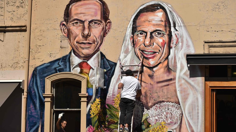 Австралийский уличный художник Скотти Марш (С) рисует фреску, изображающую бывшего премьер-министра Австралии Тони Эбботта в образе невесты Тони Эбботта в Сиднее.