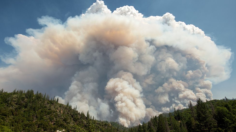 Большое пирокучевое облако висит над лесом недалеко от Реддинга, Калифорния, во время пожара Карра в 2018 году