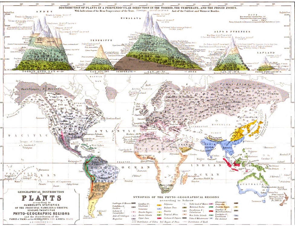 Distribución geográfica de plantas del Atlas físico de 1848 de Alexander Keith Johnston.