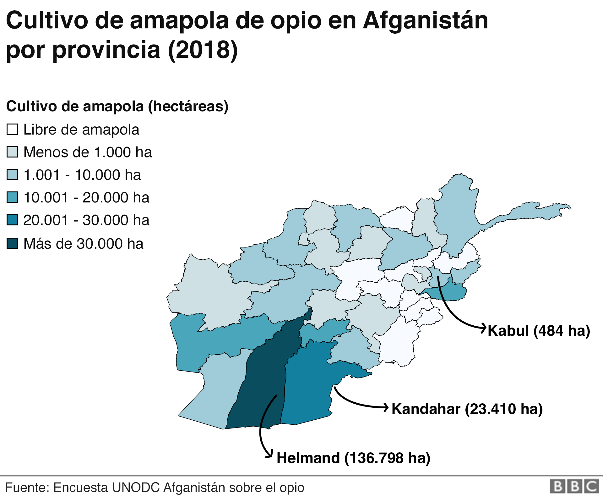 El mapa muestra las áreas de Afganistán donde se cultiva la mayor cantidad de amapola de opio.