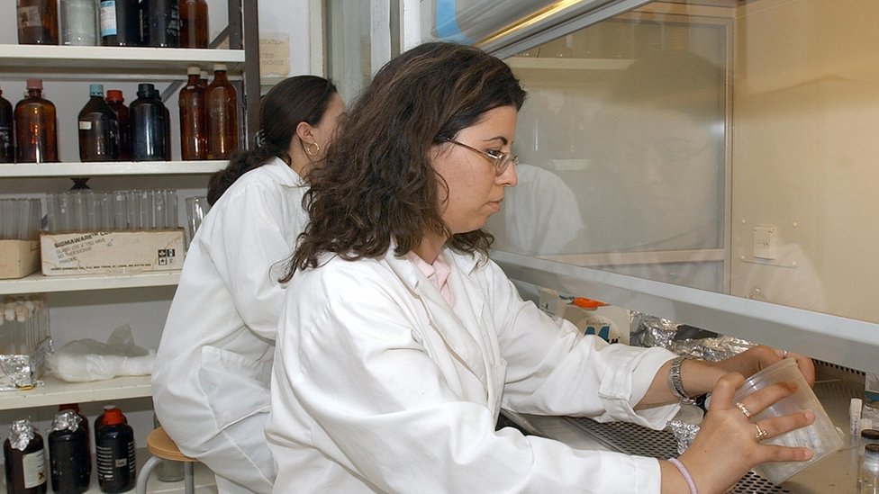 Две женщины работают с химическими веществами за защитным экраном в лаборатории в Тунисе.