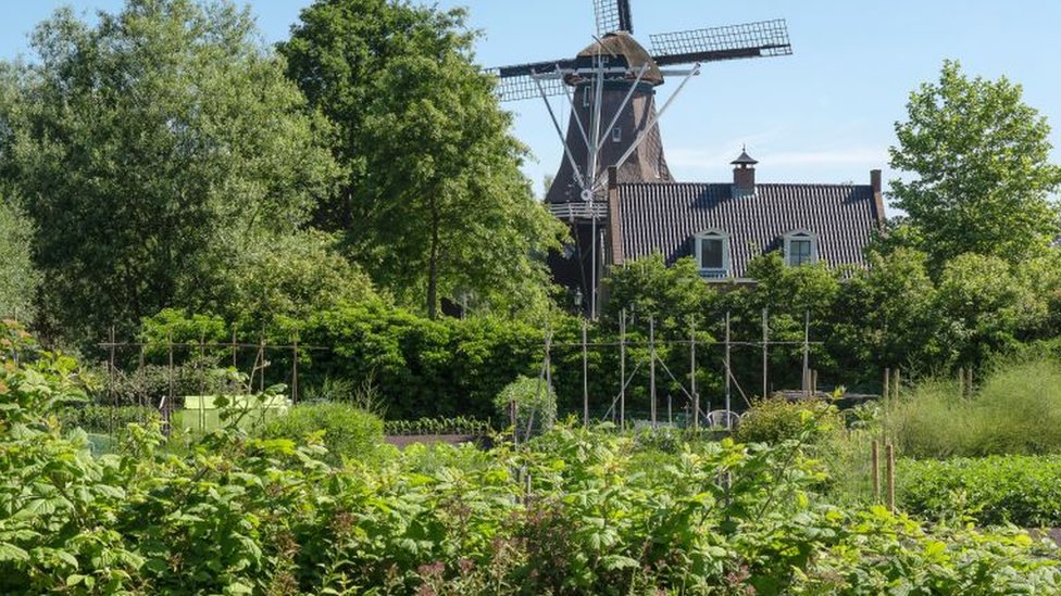 Horta na Holanda