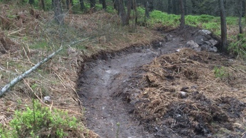 making mountain bike trails