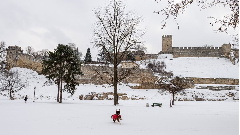 Kalemegdan