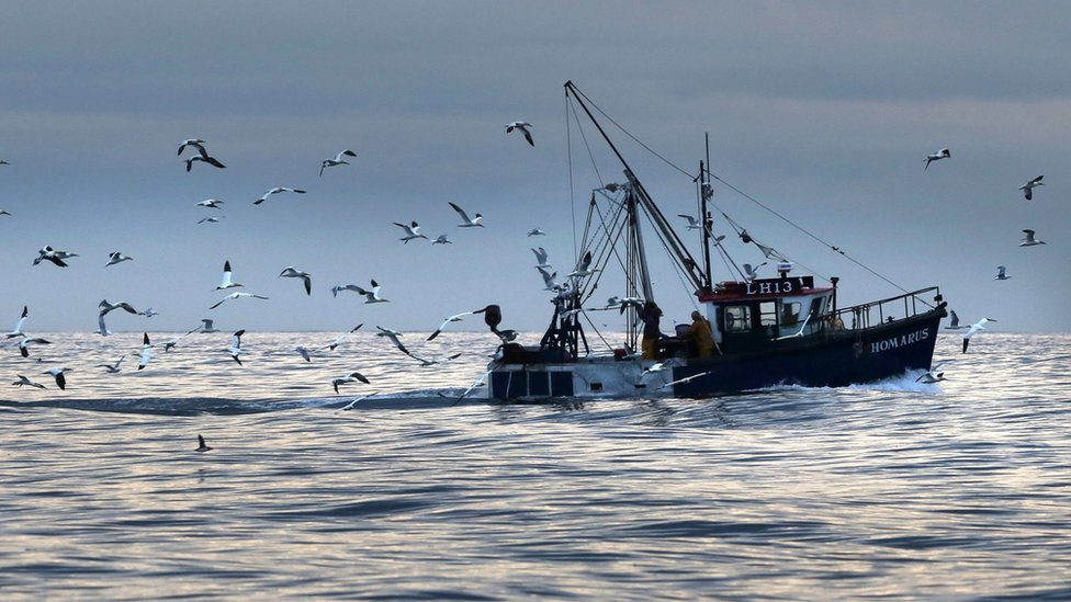 Scottish vessel awarded as best medium trawler