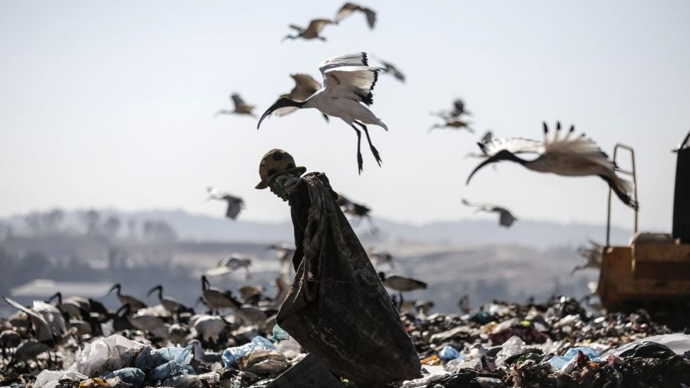 Landfill in Africa