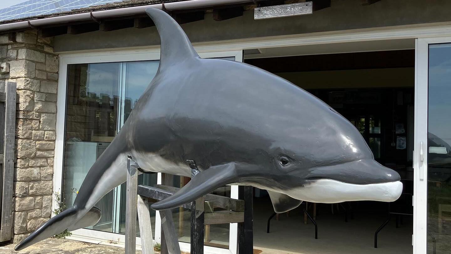 f3b54960-3242-11f0-9702-