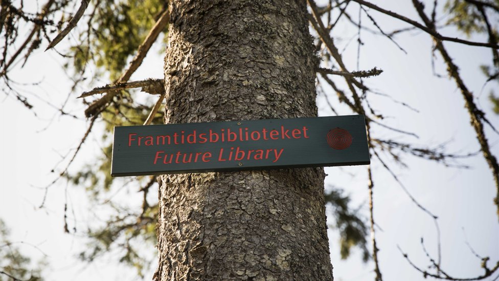 Letrero que dice "Biblioteca Futura" sobre el tronco de un árbol.